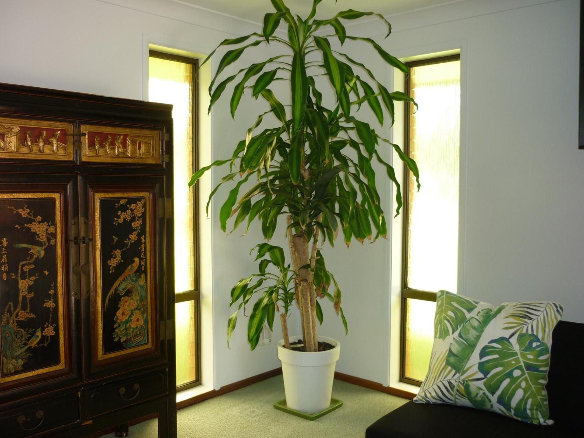 Bill'S Apartamento Coffs Harbour Exterior foto